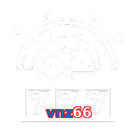 vnz66
